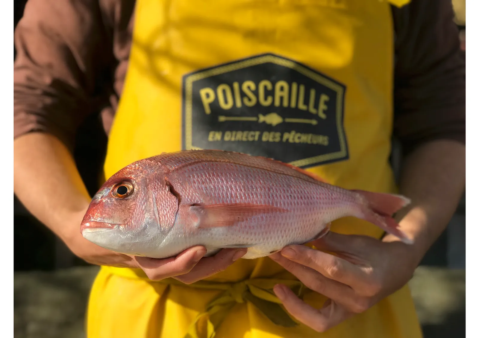Poiscaille photo 1.jpg